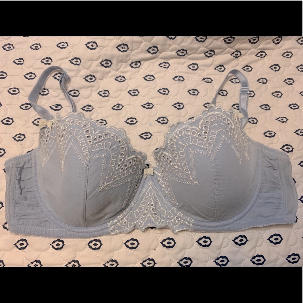 Blue Adore Me Bra
